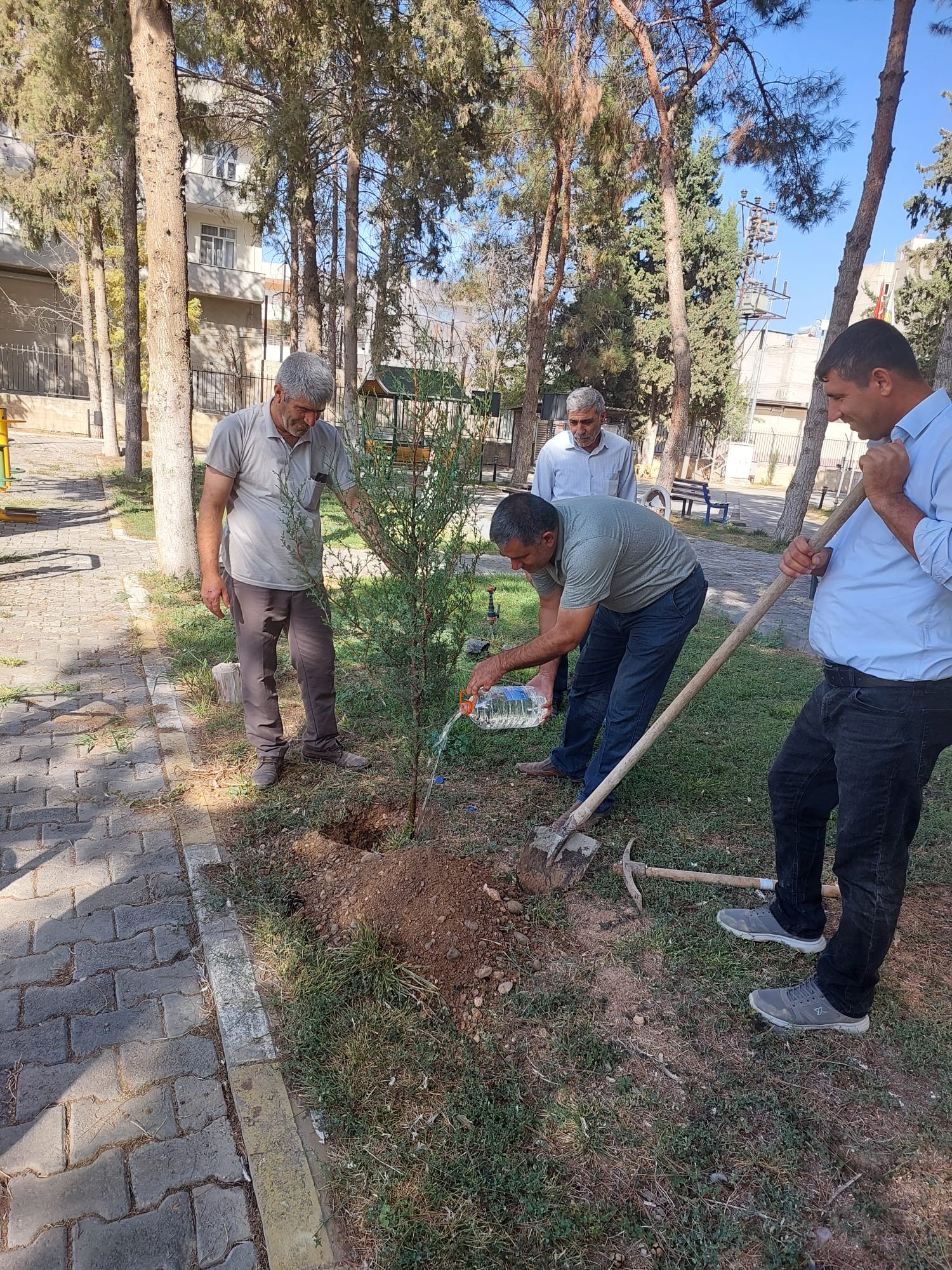 Suruç Meslek Yüksekokulu’nda Fidan Dikim Etkinliği Gerçekleştirildi